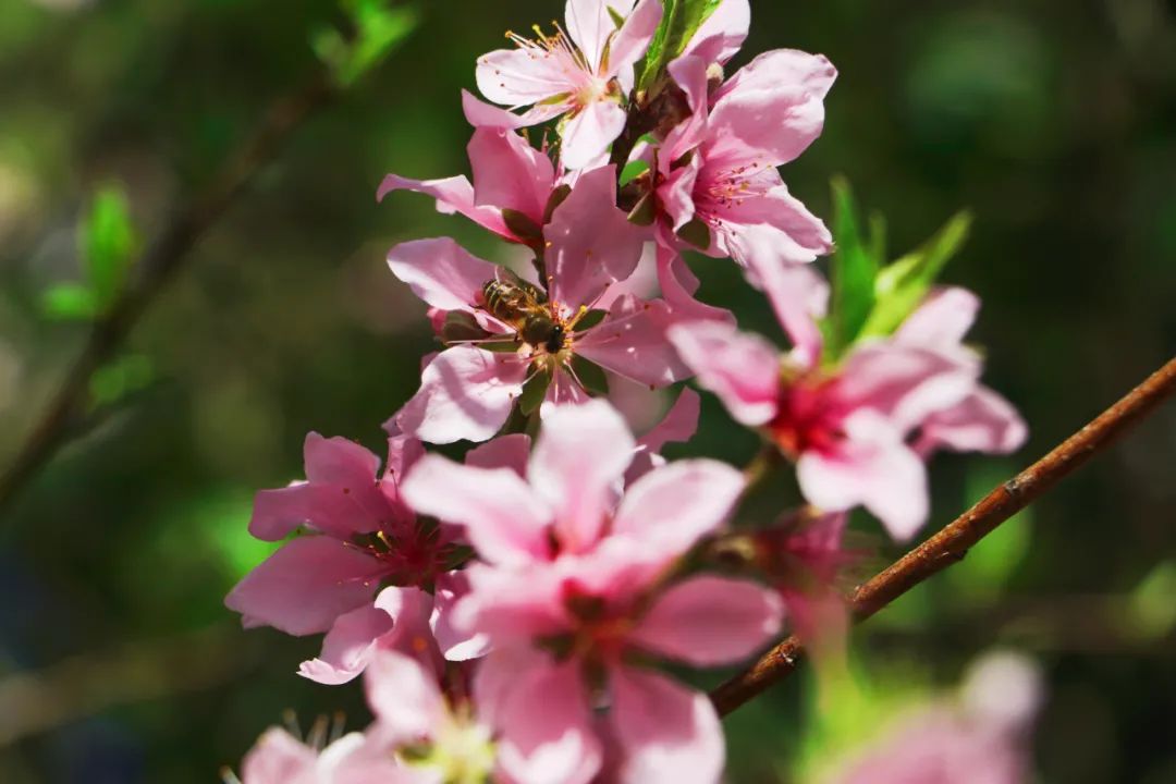 1649492041233626.jpg 9.jpg