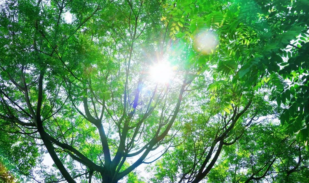 1652082960133710.jpg 1.jpg