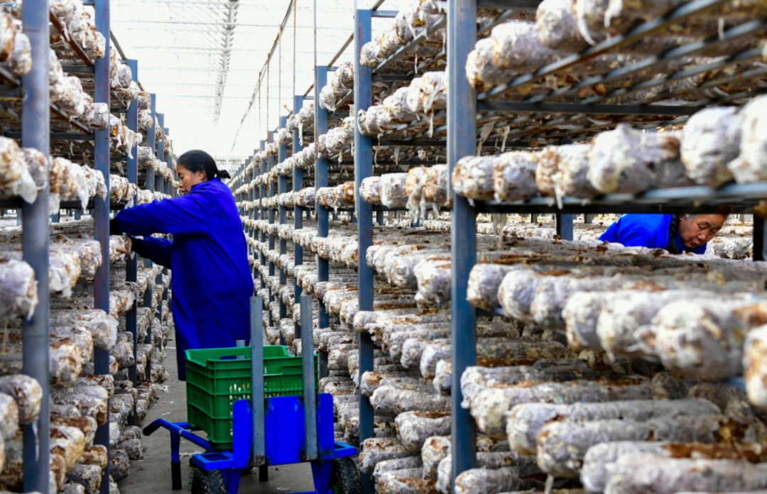 1656483867191787.png 12.png