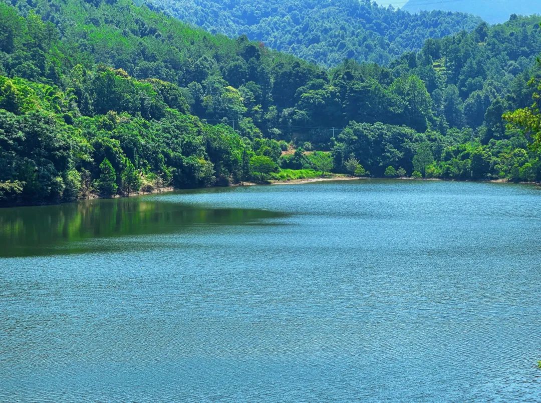 1659001503213380.jpg 1.jpg