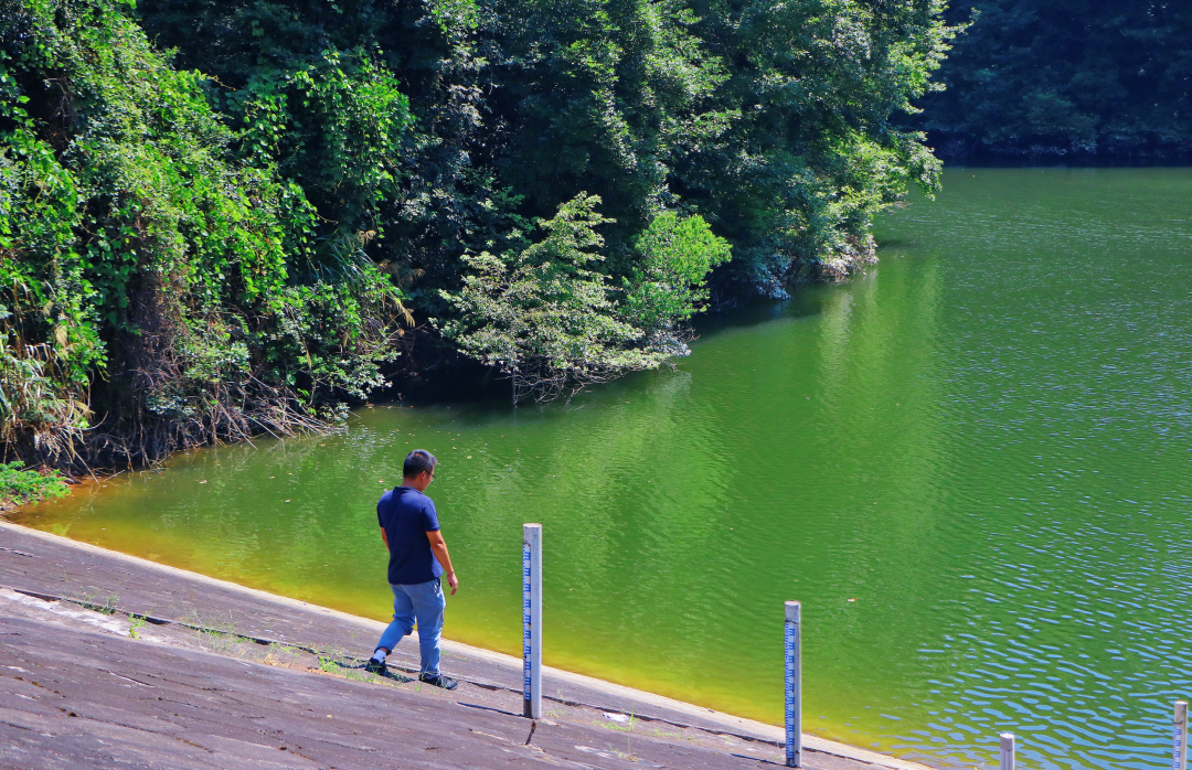 1659001882362397.png 7.png