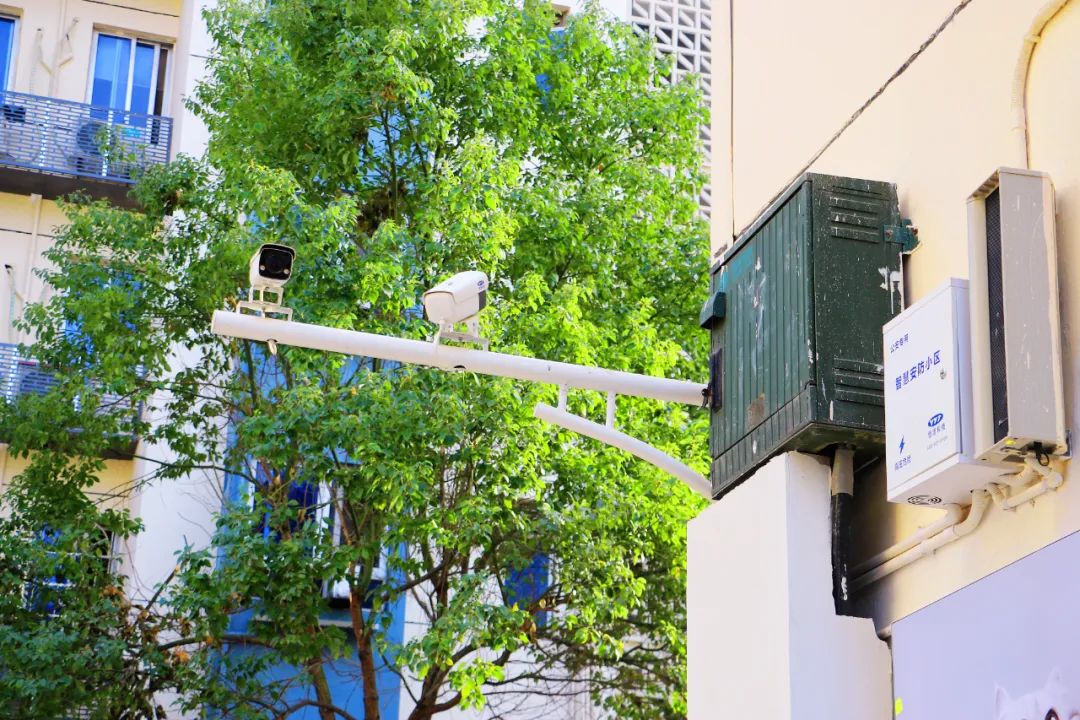 1680138684159384.jpg 7.jpg